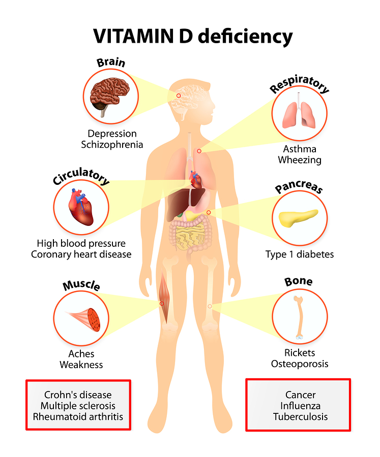 What is vitamin D2 good for?