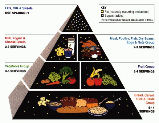 Food Pyramid