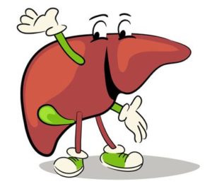 Healthy Liver