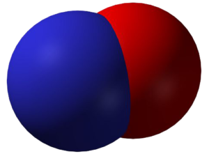 Power of Nitric Oxide