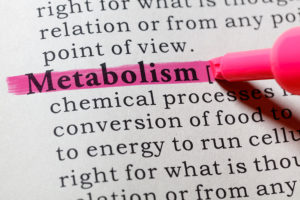 what is metabolism