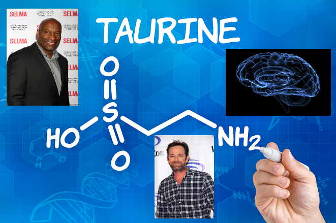 Taurine and Brain Health