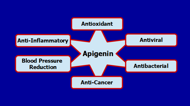 Can Apigenin Prevent and Reverse Cancer