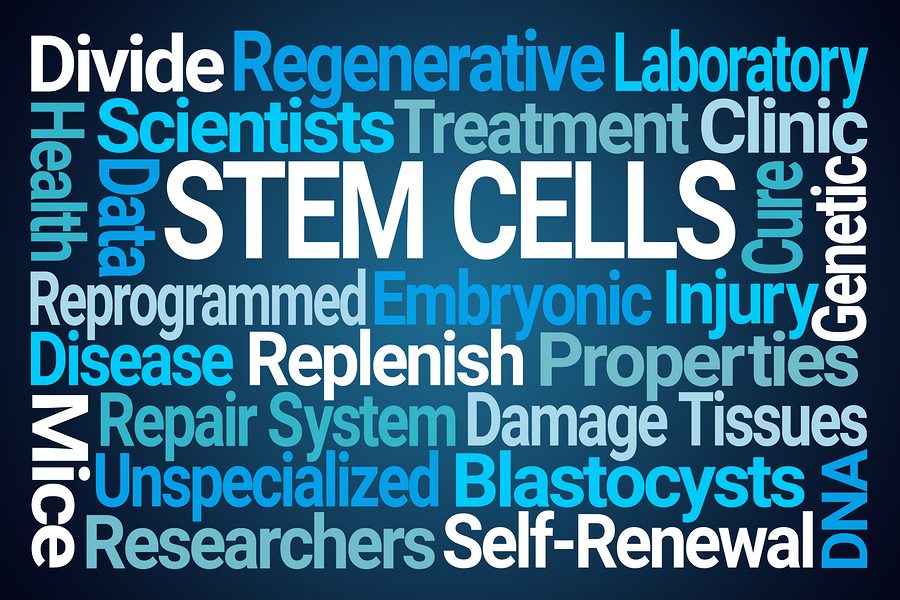Stem Cells Reverse Aging