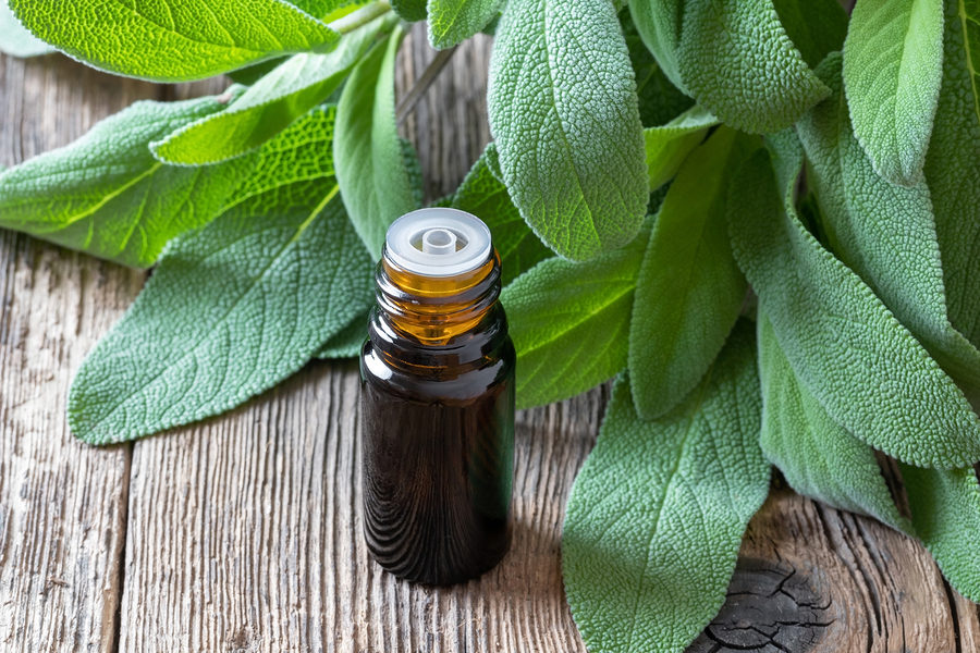 Sage Extract For Improved Cognitive Function