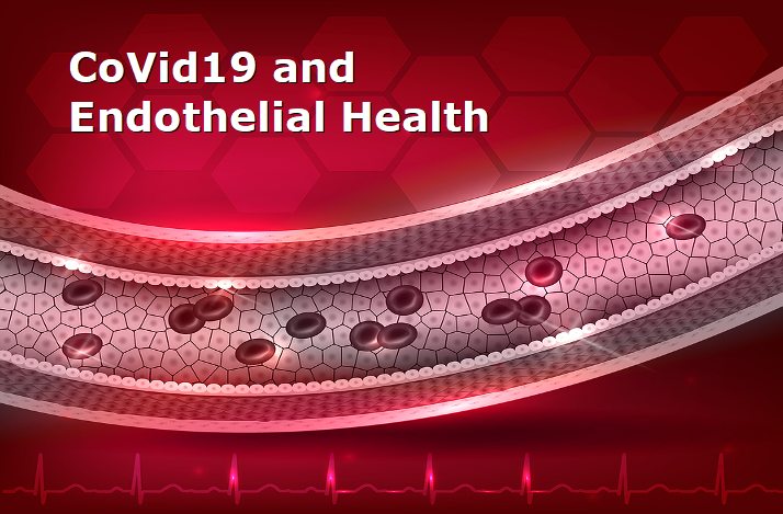 update-on-covid19-and-endothelial-health